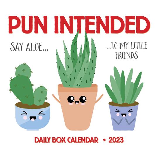 2023 Pun Intended Box Calendar Michaels